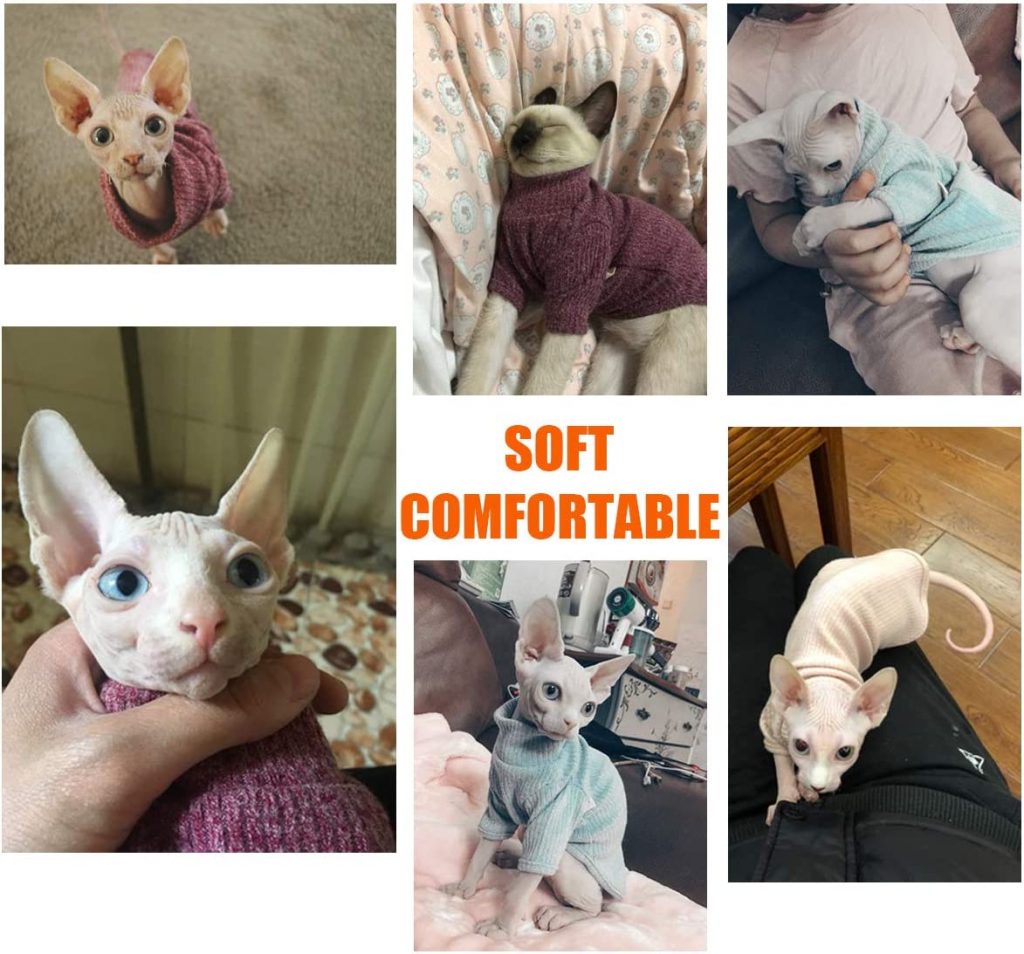 Buy Hairless Cats Vest Turtleneck Sweater Peppycats USA